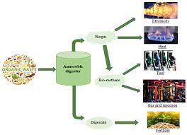 Processes | Free Full-Text | Recovery of Household Waste by Generation of  Biogas as Energy and Compost as Bio-Fertilizer&mdash;A Review