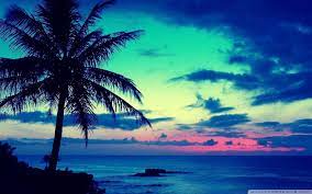 hd tropical wallpapers top free hd