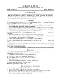 Examples Of An Objective For A Resume Englishor Com