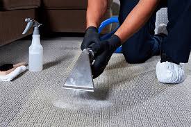carpet cleaning services perth best