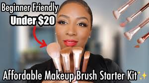 affordable makeup brush starter kit