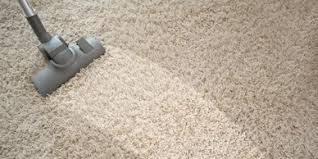 services 1 dalux carpet cleaning