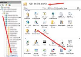 how to configure iis to allow access to