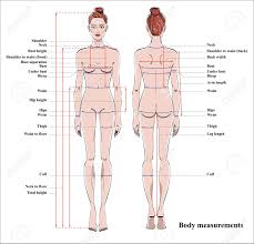 Choose from 70+ woman body graphic resources and download in the form of png, eps, ai or psd. Woman Body Measurement Chart Scheme For Measurement Human Body Royalty Free Cliparts Vectors And Stock Illustration Image 97129691