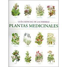 El libro memorial de hierbas en formato epub. Libro Guia Esencial De Las Hierbas Plantas Medicinales De Autor Edmuund Chessi