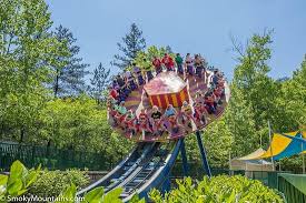 disabled review of dollywood pigeon