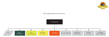 Organisation Chart Act Emergency Services Agency