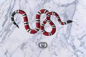 free gucci snake on marble