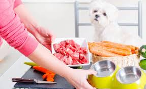 8 best homemade dog food supplements