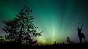 Auroras, also called the polar lights, are rarely visible outside 70. 7 Best Spots To See The Aurora Borealis In Canada Expedia Ca