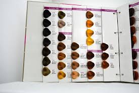 Hair Color Chart Intao Fabio Brand Agents Wanted Private