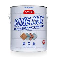 Ames Blue Max 1 Gal White Basement