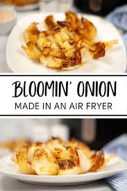 air fryer blooming onion recipe