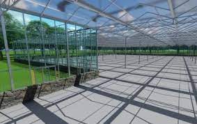Cost Per Square Meter Of Glass Greenhouse