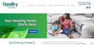 best carpet cleaning companies in