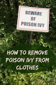how to remove poison ivy from clothing