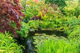 inverness botanic gardens