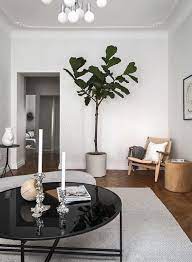 Minimalist Home Decor Plants gambar png