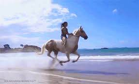 Cavalos Correndo Gifs Baixar – Gifs e Imagens Animadas. | Cavalos bonitos,  Cavalos, Cavalo correndo