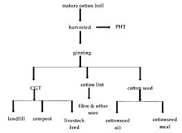 Flowchart Of Cotton Processing From Field To Cotton Gin