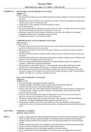 Project Management Playbook Example Real Estate Manager Resume