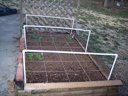 vegetable garden netting frame australia