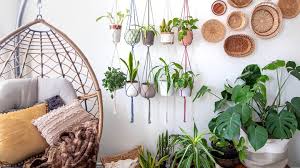 Houseplants That Are Good For Your Health