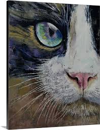 Snowshoe Cat Wall Art Canvas Prints