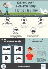 keeping your pet friendly home healthy