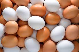 April 4, 2012 radu sigheti / reuters. How To Become An Egg Farmer Egg Farmers Of Alberta Egg Farmers Of Alberta