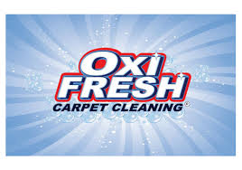 carpet cleaning services can fl
