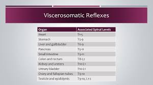 Viscerosomatic Reflexes In The Diagnosis Of A Patient With