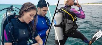 Your Guide To Scuba Diving Wetsuits Deeperblue Com