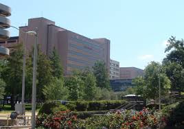researchers ousted from md anderson