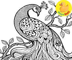 See more ideas about desene, foaie de colorat, desen. Planse De Colorat Cu Natura Desprecopii Com