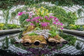 Nybg Replaces Annual Orchid Show With
