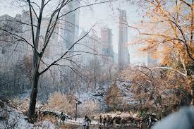 new york city in winter things to see