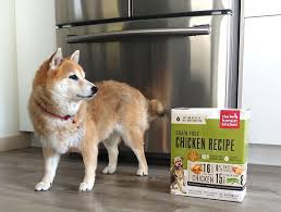 honest kitchen dog food review my