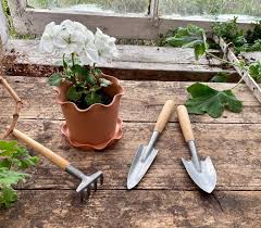 Mini Garden Tool Set