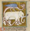 Image result for dragon and elephant images