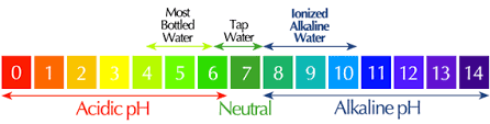 Alkaline Water Machine Benefits Ionizer Reviews