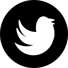 Image result for icon twitter