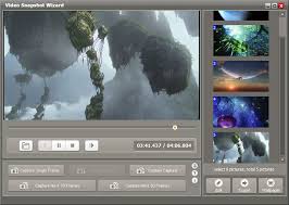 video frame capture software how to