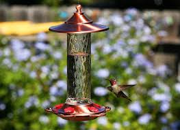 Our 3 Favorite Hummingbird Feeders For