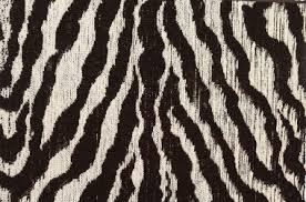 pinched zebra carpet langhorne