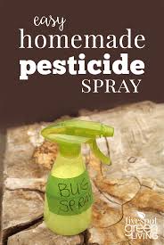 homemade pesticide spray