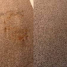 pioneer professional carpet care 10