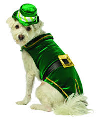 Leprechaun Dog Cat Costume