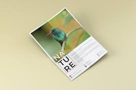 Nature Elegant Flyer Design Template