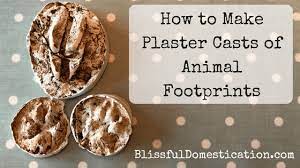make plaster casts of footprints